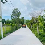 Bán đất Phước Hải BRVT 265m2 cách biển 5km - Ảnh thu nhỏ 1