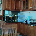 Bán đất 530m2 có sân vườn hồ bơi tại Phú Hưng, TP Bến Tre, giá 1,25 tỷ - Ảnh thu nhỏ 3