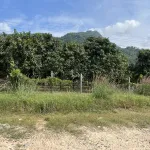 Bán 9500m vuông đất trồng CLN, quy hoạch lên đất ONT, sổ hồng riêng, chính chủ - Ảnh thu nhỏ 7