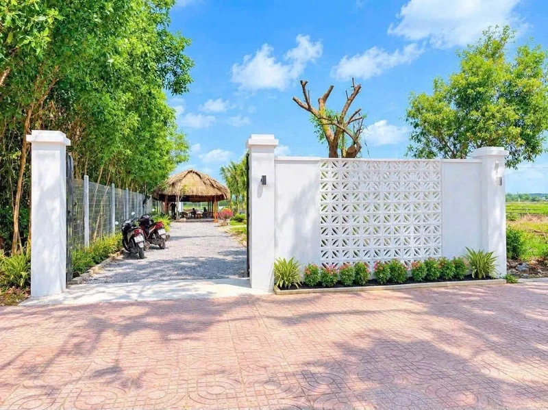 Bán đất 365m² mặt tiền TL52 Đất Đỏ, Bà Rịa - Vũng Tàu