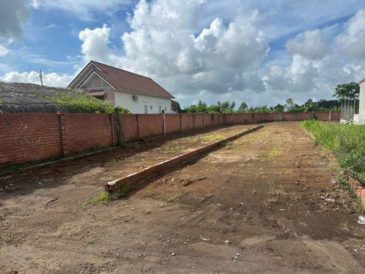 Bán đất mặt tiền QL55 750m2 tại Bình Dương 4,99 tỷ - Ảnh thu nhỏ 2