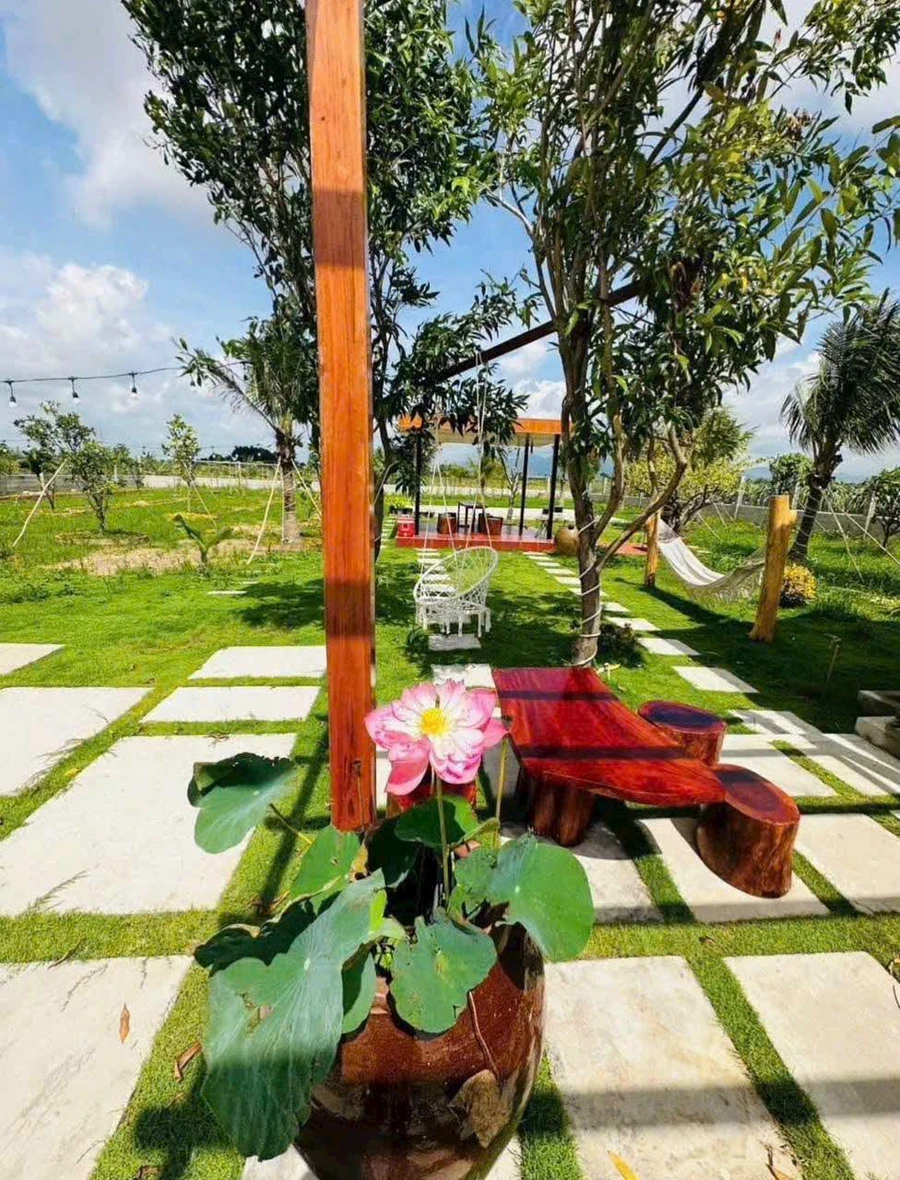Nhà vườn 1800m² giá 2,2 tỷ gần Phan Thiết - Ảnh thu nhỏ 5