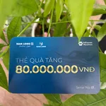 Bán đất nền sổ hồng 90m² Nam Long 2 Central Lake, Cần Thơ - Ảnh thu nhỏ 2