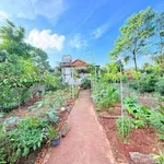 Bán nhà vườn 420m2 hẻm Ymoal Thủ Đức 2 tỷ 5 - Ảnh thu nhỏ 2