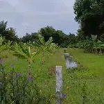 Bán đất cây hàng năm 3600m² Thạnh Đức, Bến Lức 2 tỷ - Ảnh thu nhỏ 2