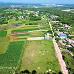 Bán lô đất trồng cây 336m2 cạnh KCN Phong Điền, Huế, giá 59 triệu - Ảnh thu nhỏ 2