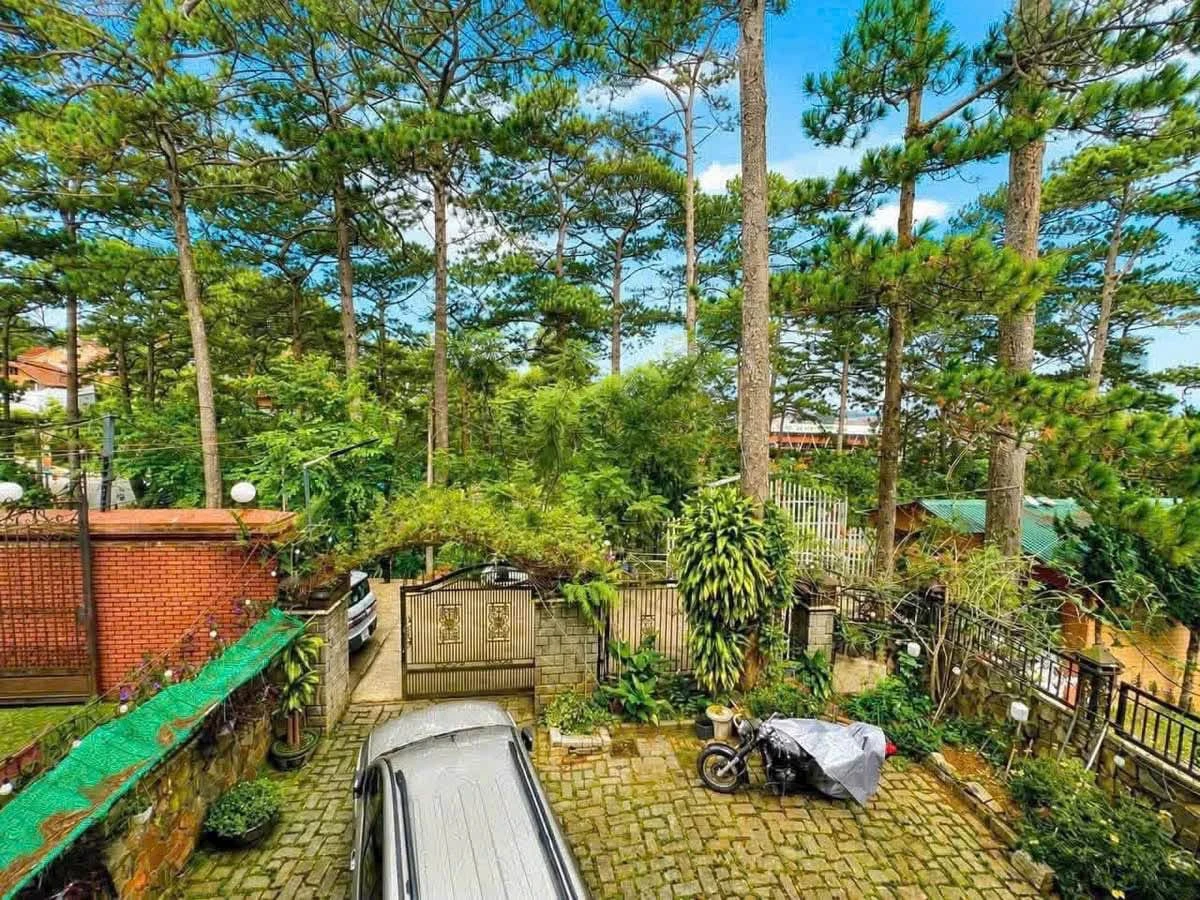Bán biệt thự sân vườn Đà Lạt 277m2, 4 phòng ngủ, 27 tỷ - Ảnh thu nhỏ 3