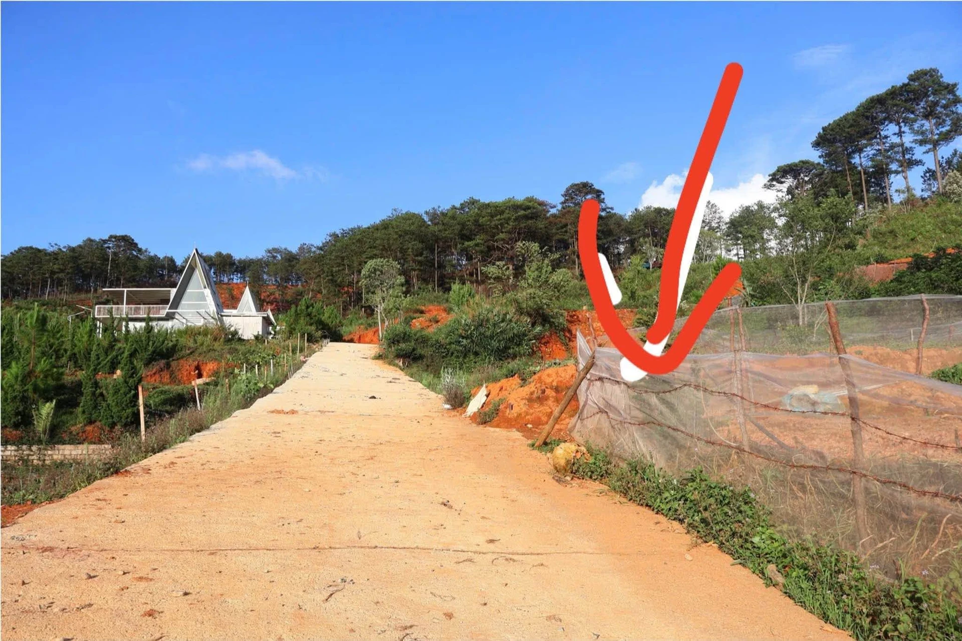 Bán lô đất riêng tư 100m2 Langbiang Đà Lạt, 2 tỷ 2 - Ảnh 1
