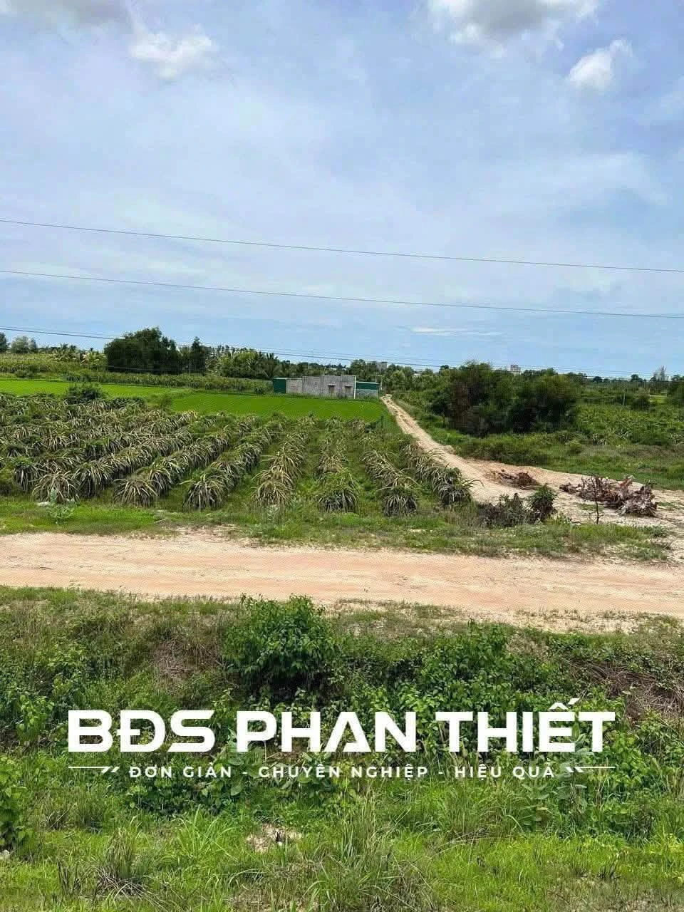 Bán lô góc 2 mặt tiền Hàm Liêm 2.711 m² Phan Thiết - Ảnh 1