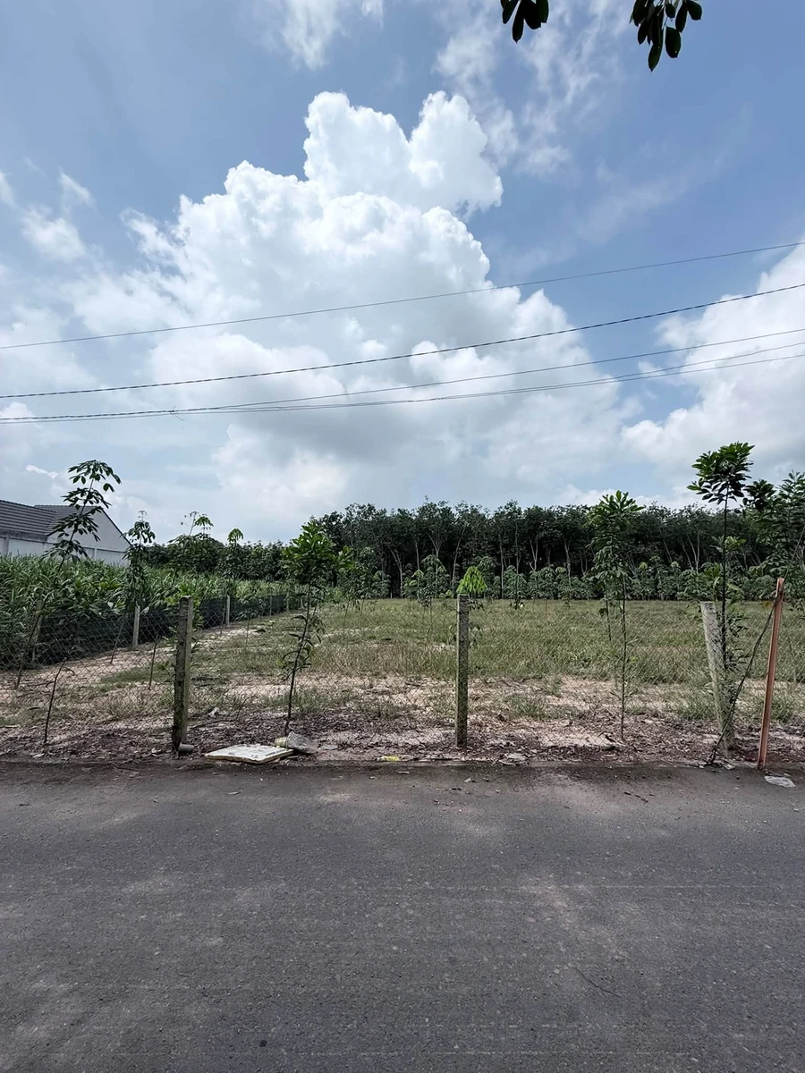 Bán đất Bình Mỹ 1080 m² 250 triệu - Ảnh thu nhỏ 2