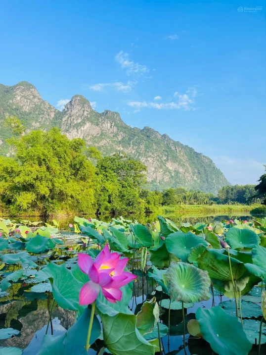 SIÊU PHẨM LẠC THỦY - GIÁP NINH BÌNH - CÁCH HÀ NỘI 65KM