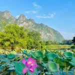 SIÊU PHẨM LẠC THỦY - GIÁP NINH BÌNH - CÁCH HÀ NỘI 65KM - Ảnh thu nhỏ 1