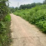 Bán đất Hưng Long Yên Lập 1000m2, giá 300 triệu - Ảnh thu nhỏ 2