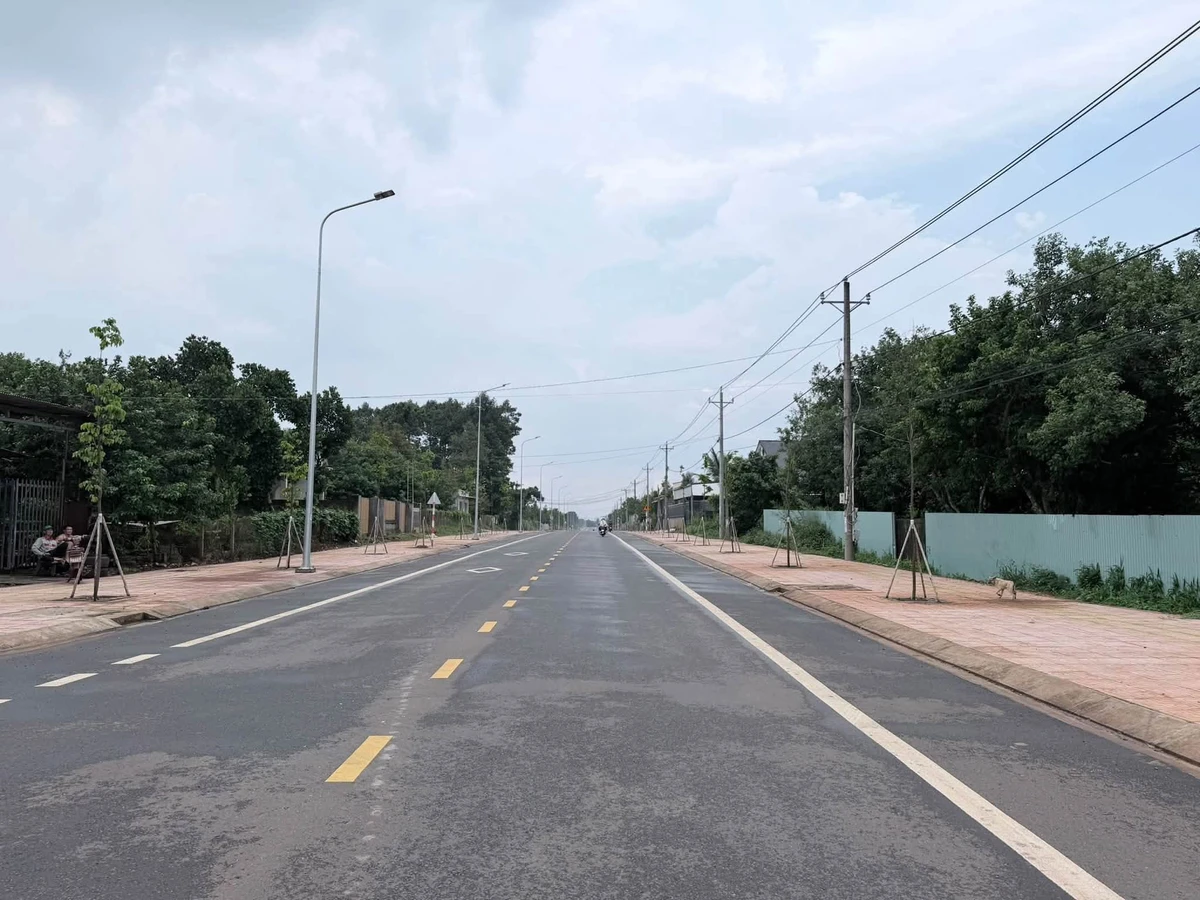 Bán đất mặt tiền Suối Rết 900m² kinh doanh Long Khánh - Ảnh thu nhỏ 3