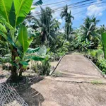 Bán đất vườn mặt tiền Mỹ Thạnh Thuận Điền 1064m2 - Ảnh thu nhỏ 3