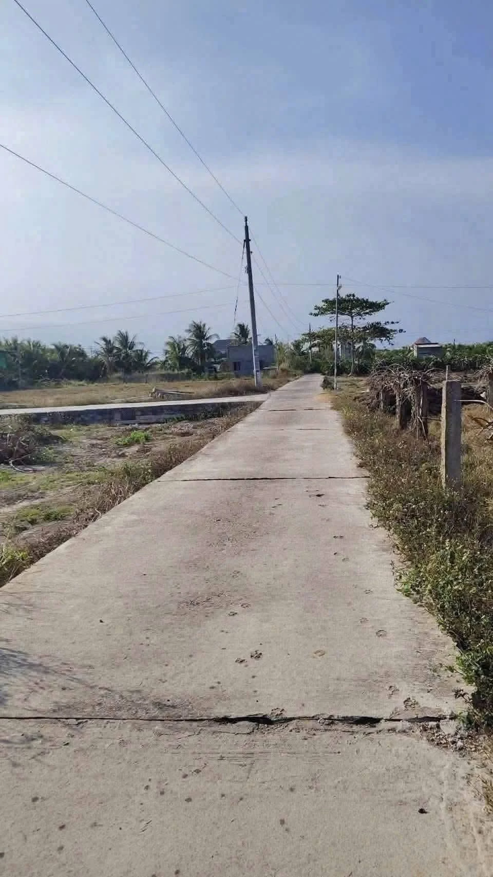 Bán đất thổ cư 100m2 Phường Hàm Thắng - Ảnh 1