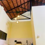 Nhà vườn 1800m² giá 2,2 tỷ gần Phan Thiết - Ảnh thu nhỏ 4