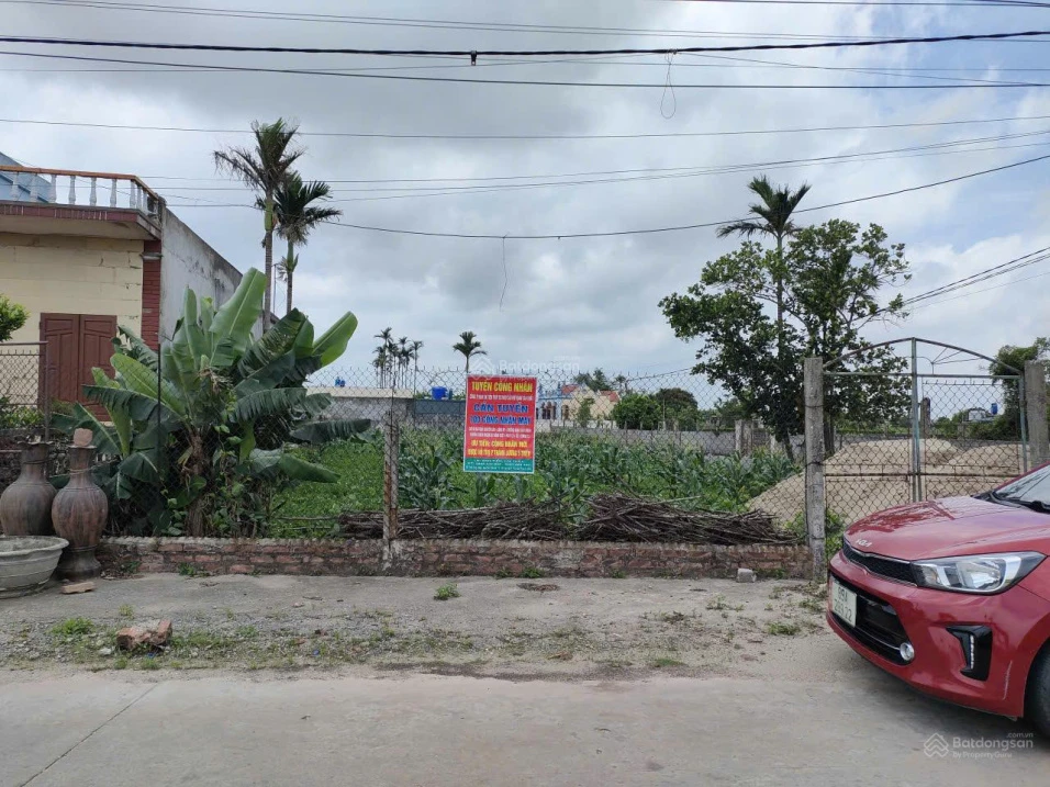 Bán đất Nam Thịnh Nam Cường, Thái Bình. Ô tô tránh, kinh doanh. Nhỉnh 1 tỷ. - Ảnh 1