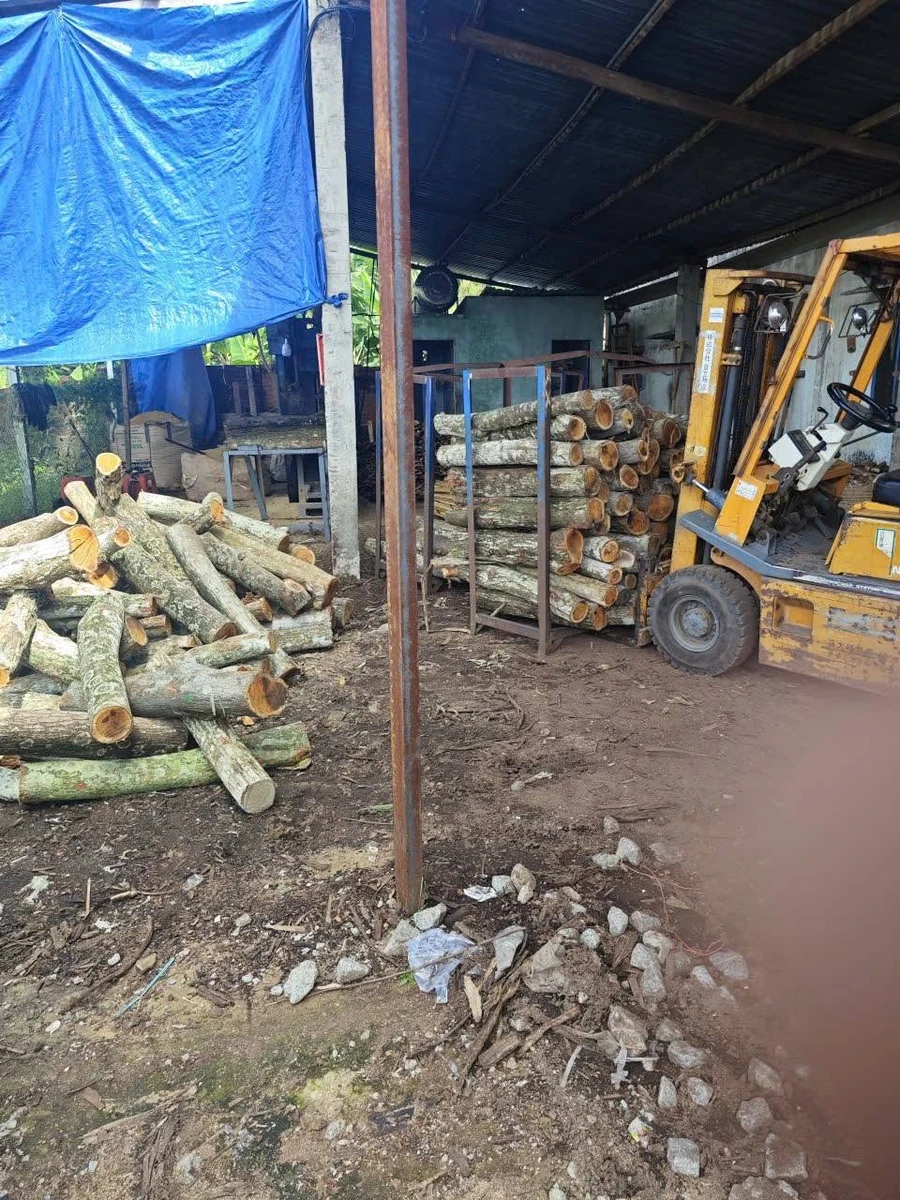 Bán đất Phú Giáo 450m² ngang 18m sâu 25m, giá 3.7 tỷ - Ảnh thu nhỏ 3