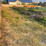 Bán đất vườn 1000m² Phan Rang 2 tỷ 370 - Ảnh thu nhỏ 3