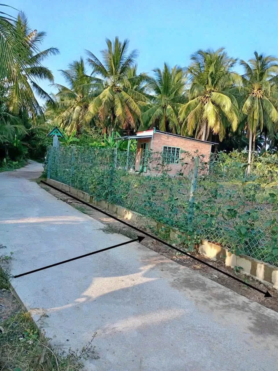 Bán đất ~1,6 công xã Phước Thạnh Bến Tre, 1,4 tỷ - Ảnh 1
