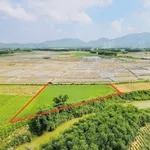 Bán lô đất 900m² mặt đường bê tông, sau lưng giáp sông tại Phong Sơn, Huế - Ảnh thu nhỏ 2