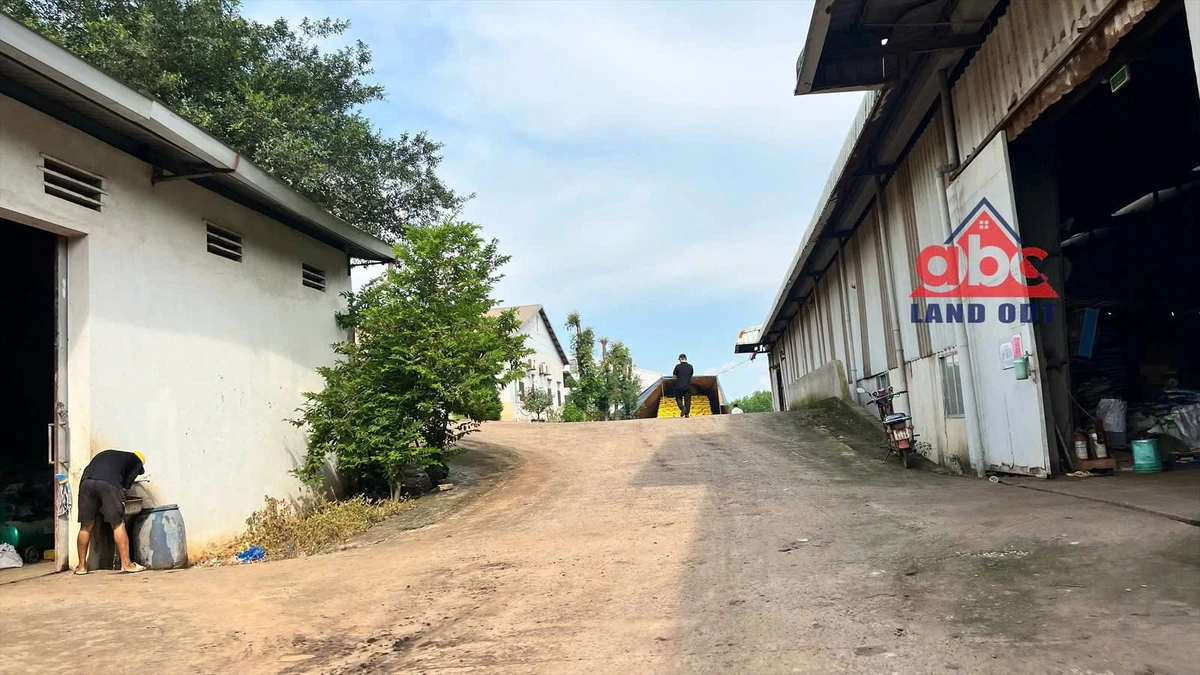 Chuyển nhượng nhà máy sản xuất phân bón 8.800 m² Vĩnh Cửu - Ảnh 1