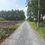 Bán đất thổ cư 113m2 đường Phùng Hưng, Bình Chánh - Ảnh thu nhỏ 2