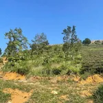 Bán đất trồng cà phê chè 6300m2, giá 1,32 tỷ - Ảnh thu nhỏ 3