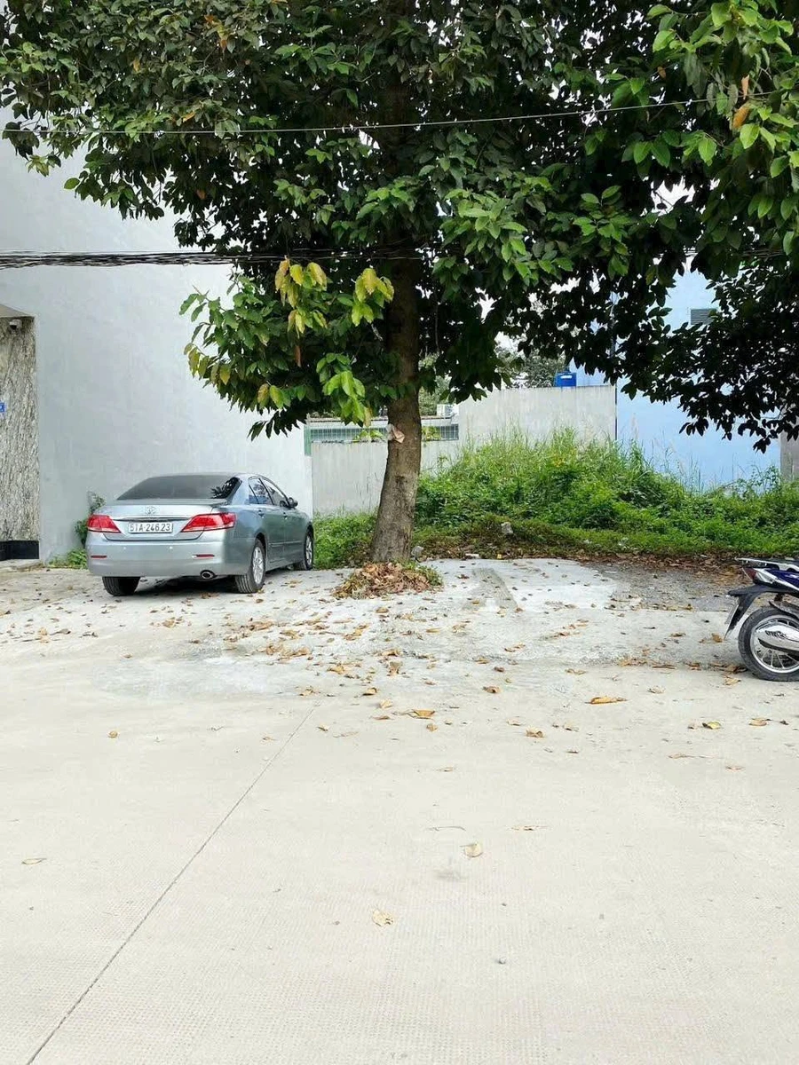 Bán đất Bến Lức Tây Ninh 120m² 3.8 tỷ - Ảnh thu nhỏ 2