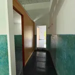 Bán nhà cấp 4 205,6m² Phước An 820 triệu - Ảnh thu nhỏ 5