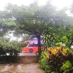 Nhà vườn siêu đẹp, nở hậu, mặt tiền đường Quốc Lộ 20 nối SG - Đà Lạt (Đạ Huoai - Lâm Đồng) - Ảnh thu nhỏ 1