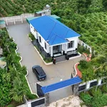 Bán nhà 1000m² có nội thất Xã Ea Kly Đắk Lắk 2,6 tỷ - Ảnh thu nhỏ 1