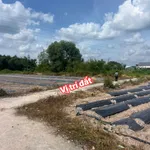 Bán đất nền Trương Mít 165m² 220 triệu - Ảnh thu nhỏ 1