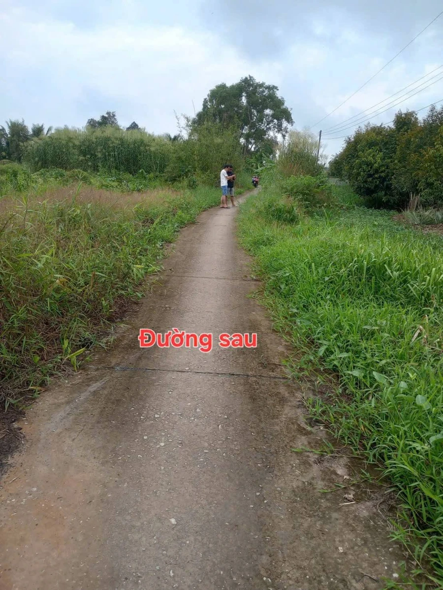 Bán vườn sầu riêng 45.260m2 đang cho trái, 2 mặt tiền tại Gò Quao, Kiên Giang - Ảnh thu nhỏ 2