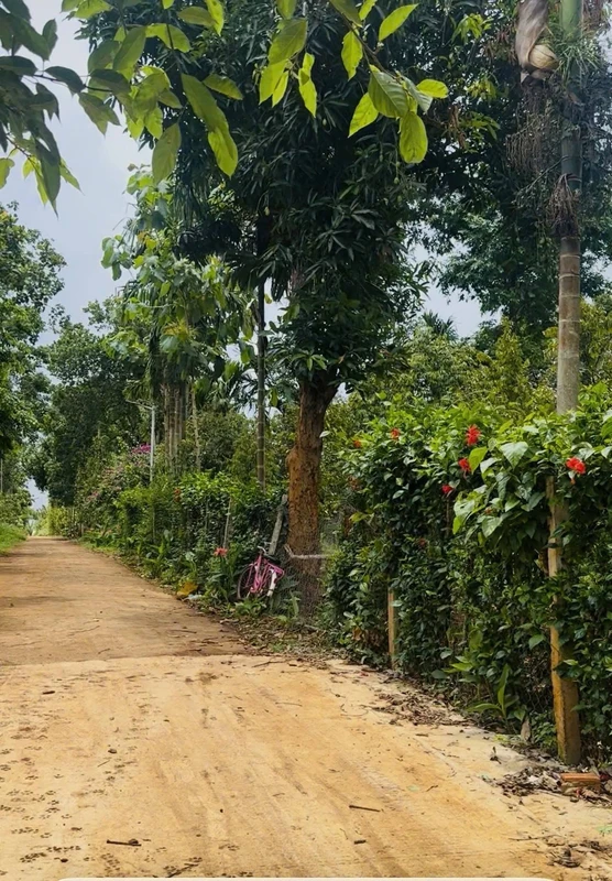 Bán đất Ea Kao, Đắk Lắk 600m² view hồ 480 triệu