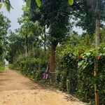 Bán đất Ea Kao, Đắk Lắk 600m² view hồ 480 triệu - Ảnh thu nhỏ 1