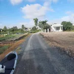 Bán lô đất lúa 450m² Xã Long Hòa, Cần Đước, Long An - Ảnh thu nhỏ 3