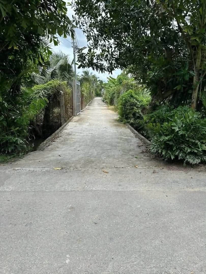 Bán nền có thổ cư 141m2 tại Phường Phú Tân, Bến Tre, giá 700 triệu - Ảnh 1
