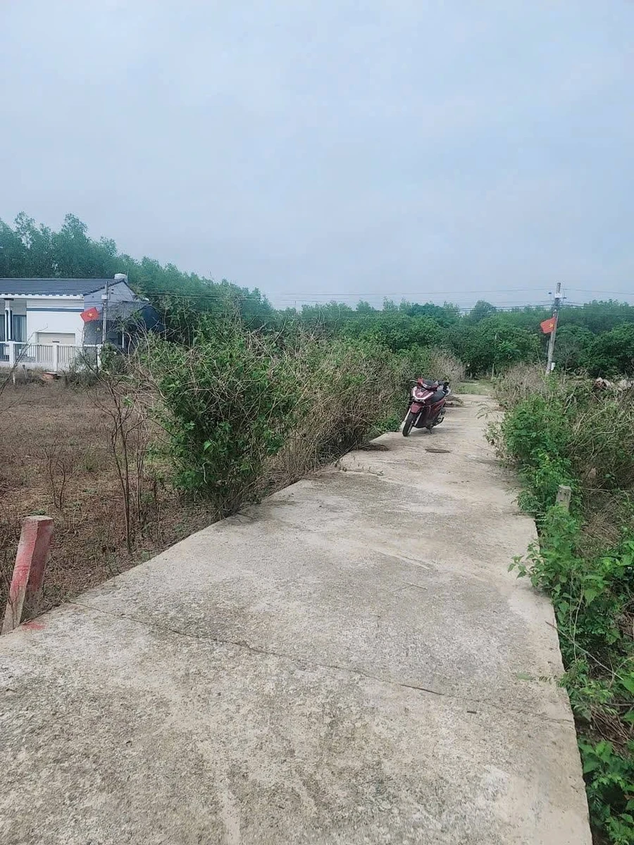 Bán đất nền 100m² Hóc Môn 400 triệu - Ảnh 1