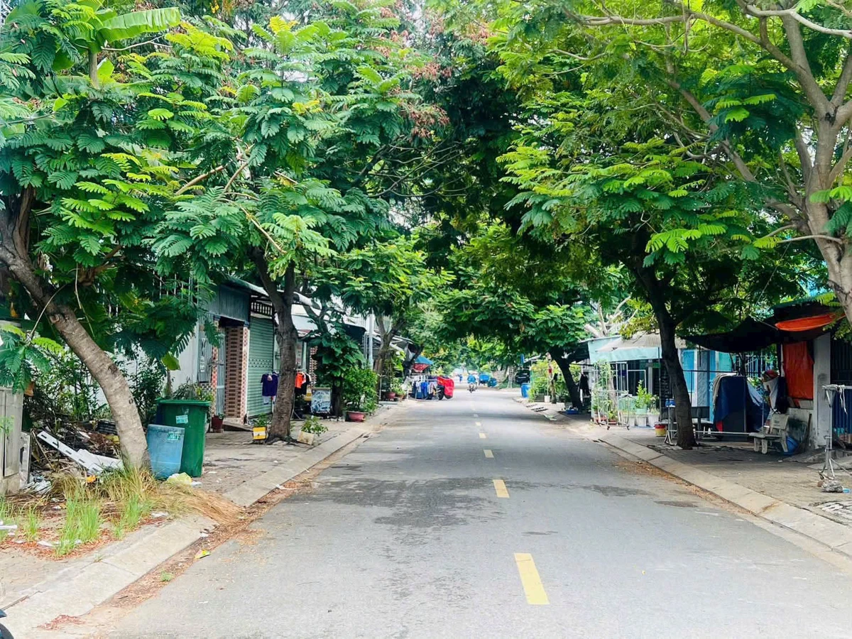 Bán đất KDC Nam Sài Gòn 100m² đường N5 - Ảnh 1