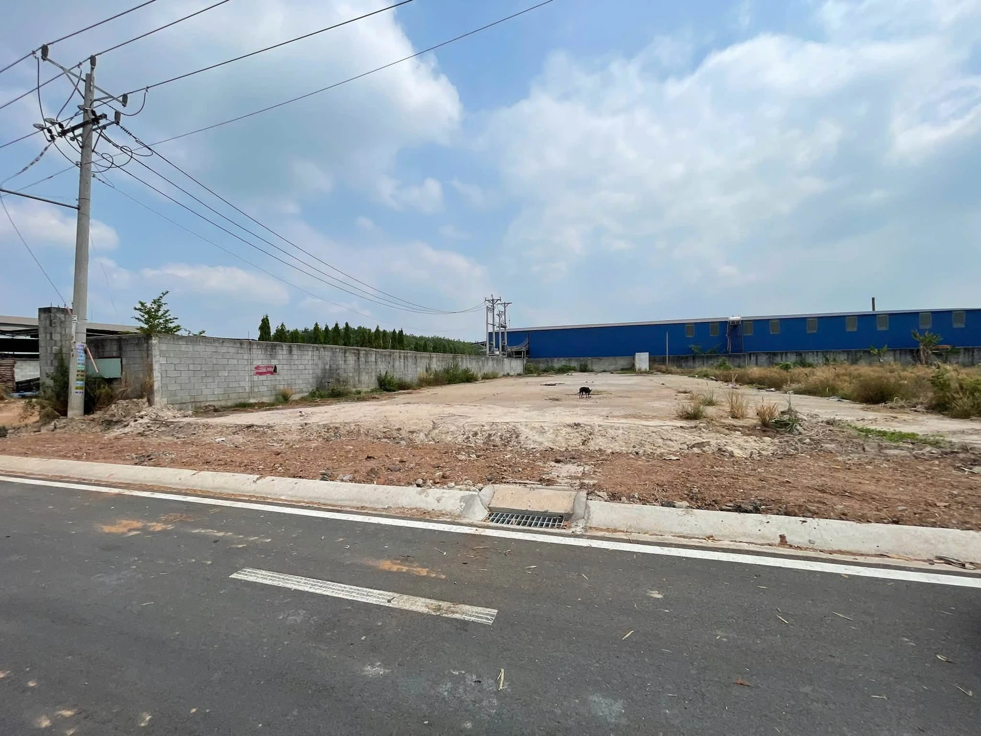 Bán lô đất xây kho xưởng 260m² đường Phùng Hưng, Bình Dương - Ảnh 1
