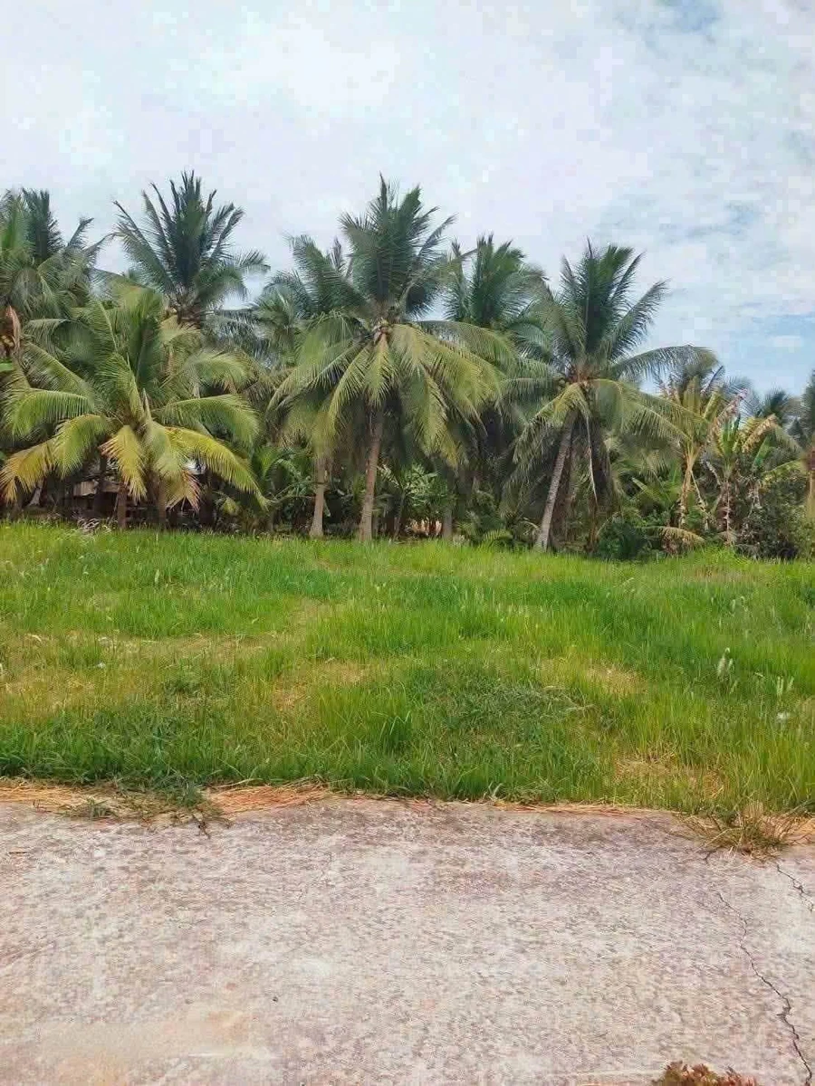 Bán đất nền 108m2 mặt tiền Phường An Hội, Vĩnh Long - Ảnh thu nhỏ 4