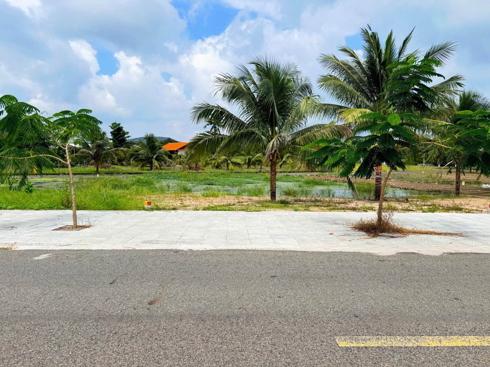 Bán đất Long Mỹ - Phước Hải 295m2, 2 tỷ 100 - Ảnh thu nhỏ 3