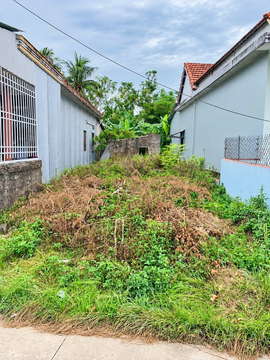 Bán đất kiệt Tôn Thất Sơn Huế 76,1m² 780 triệu - Ảnh thu nhỏ 3