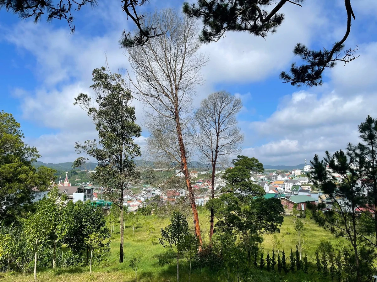 Bán đất view 400m² trung tâm Đà Lạt 13 tỷ - Ảnh thu nhỏ 4