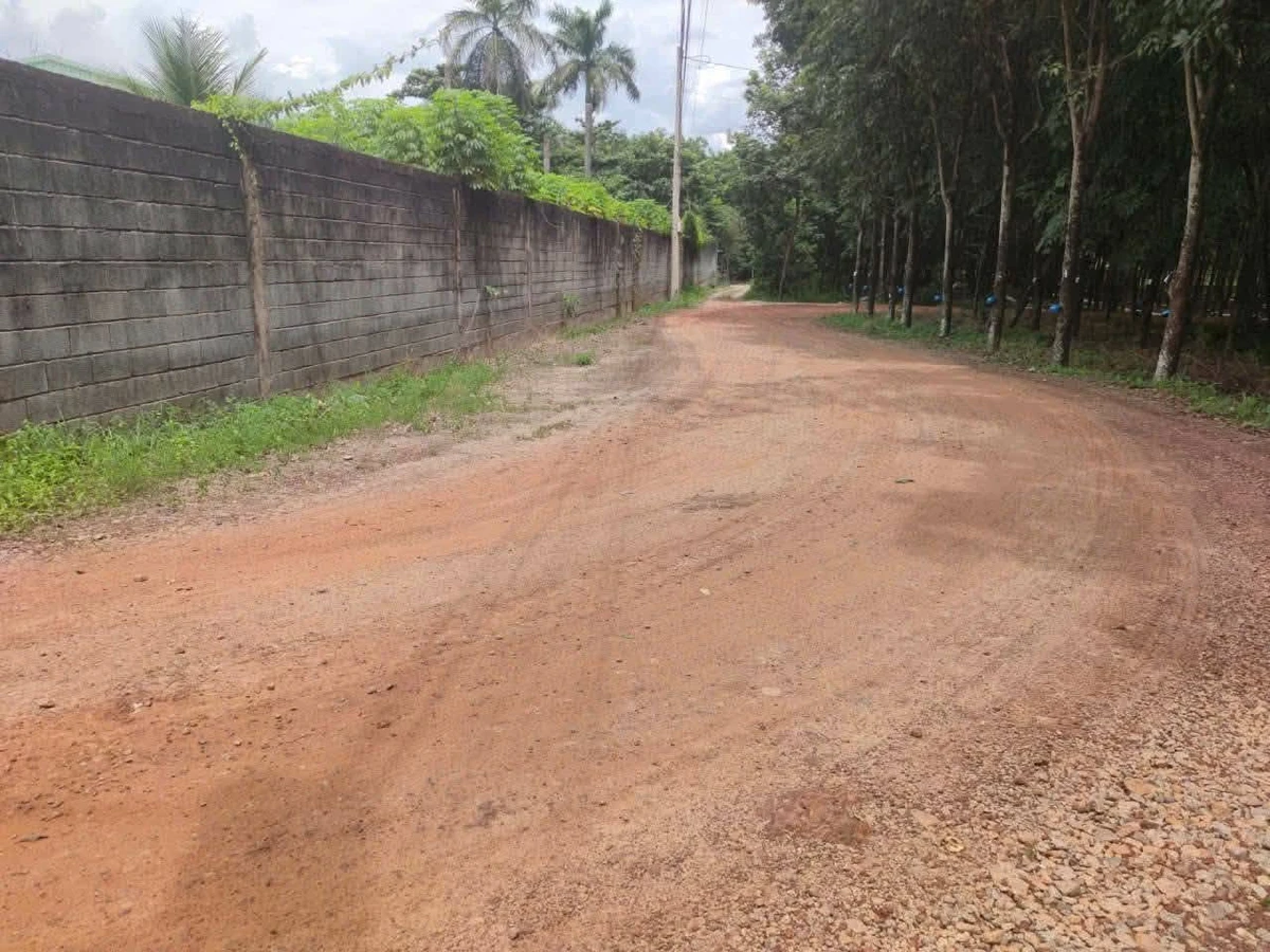 Bán đất có sẵn nhà vườn giá khoảng 2,2 tỷ tại Phường Long Nguyên, cách chợ Bến Cát 4km - Ảnh thu nhỏ 3