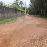Bán đất có sẵn nhà vườn giá khoảng 2,2 tỷ tại Phường Long Nguyên, cách chợ Bến Cát 4km - Ảnh thu nhỏ 3
