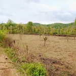 Bán đất làm nhà vườn hoặc kho 1.155m² Bình Chánh - Ảnh thu nhỏ 1
