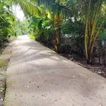 Bán đất trồng dừa 3290m² tại Bến Tre 1.8 tỷ - Ảnh thu nhỏ 2